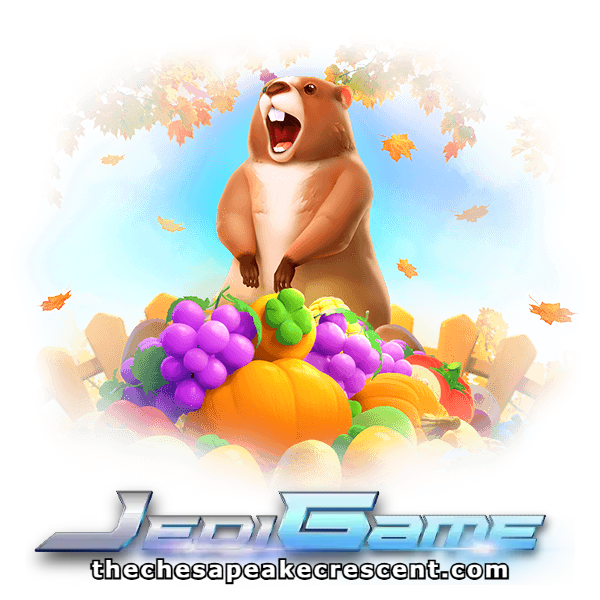 JedigameX ทางเข้า